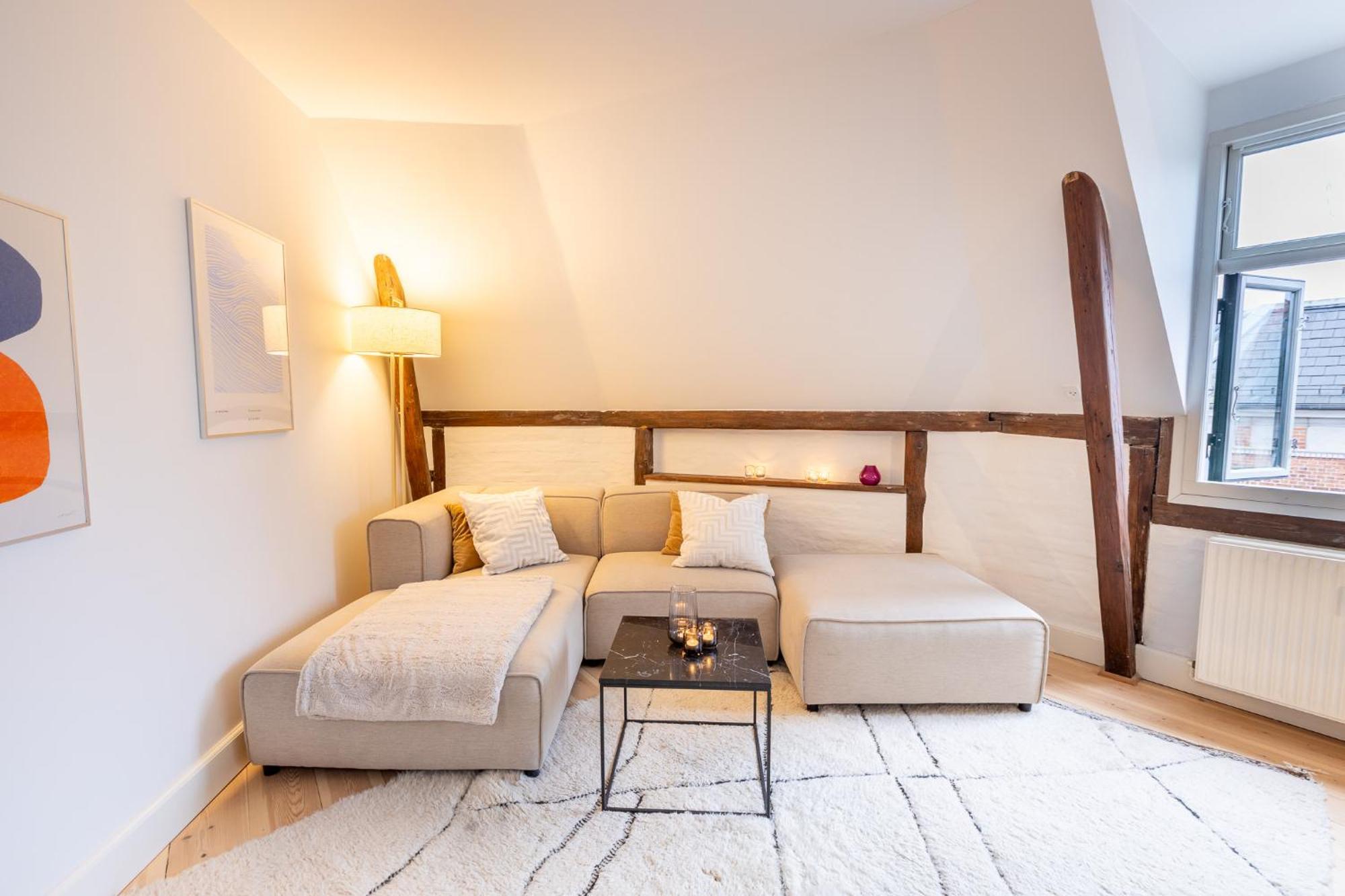 Penthouse In The Heart Of Apartment Kopenhagen
