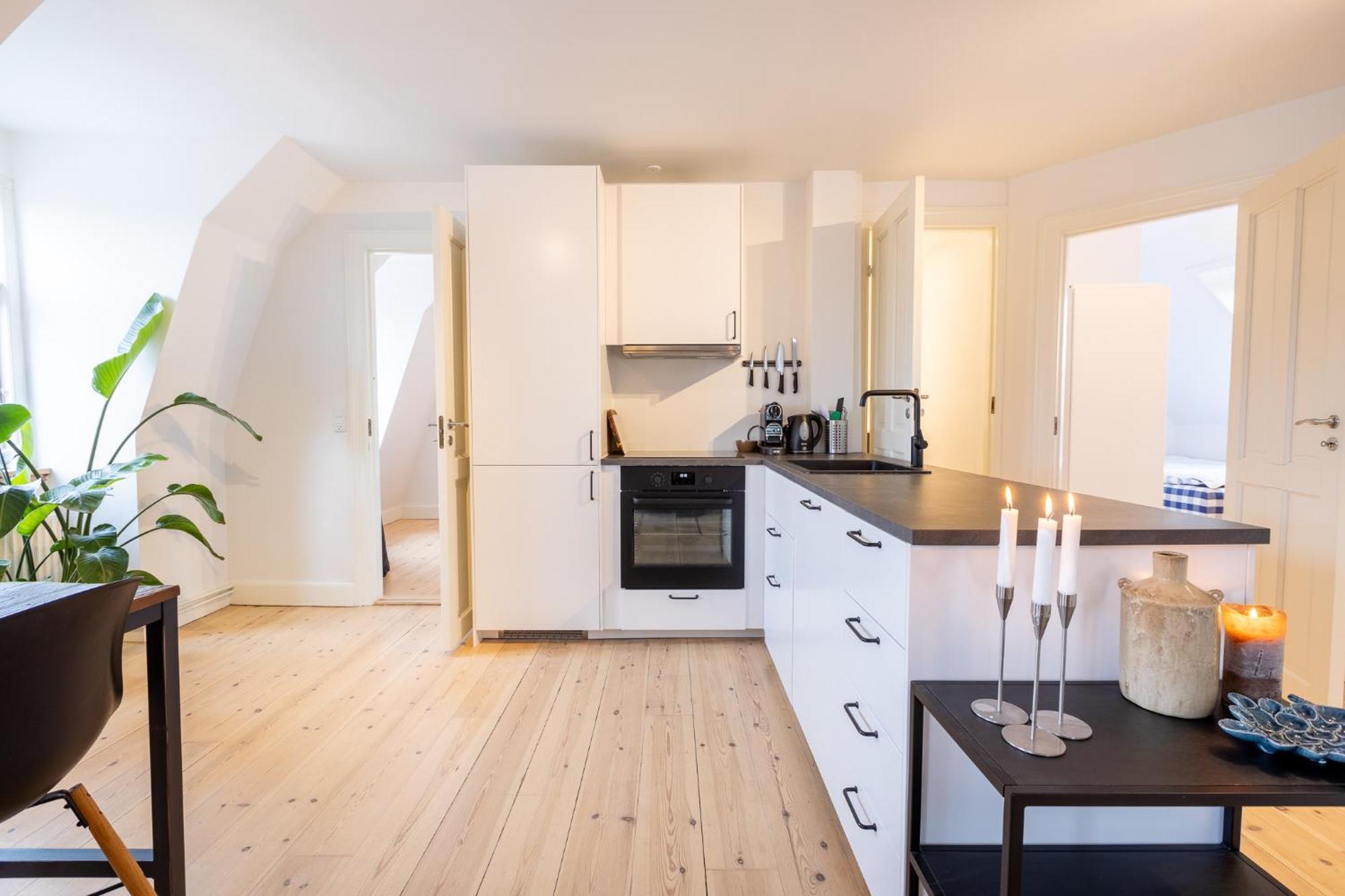 Apartment Penthouse In The Heart Of Kopenhagen