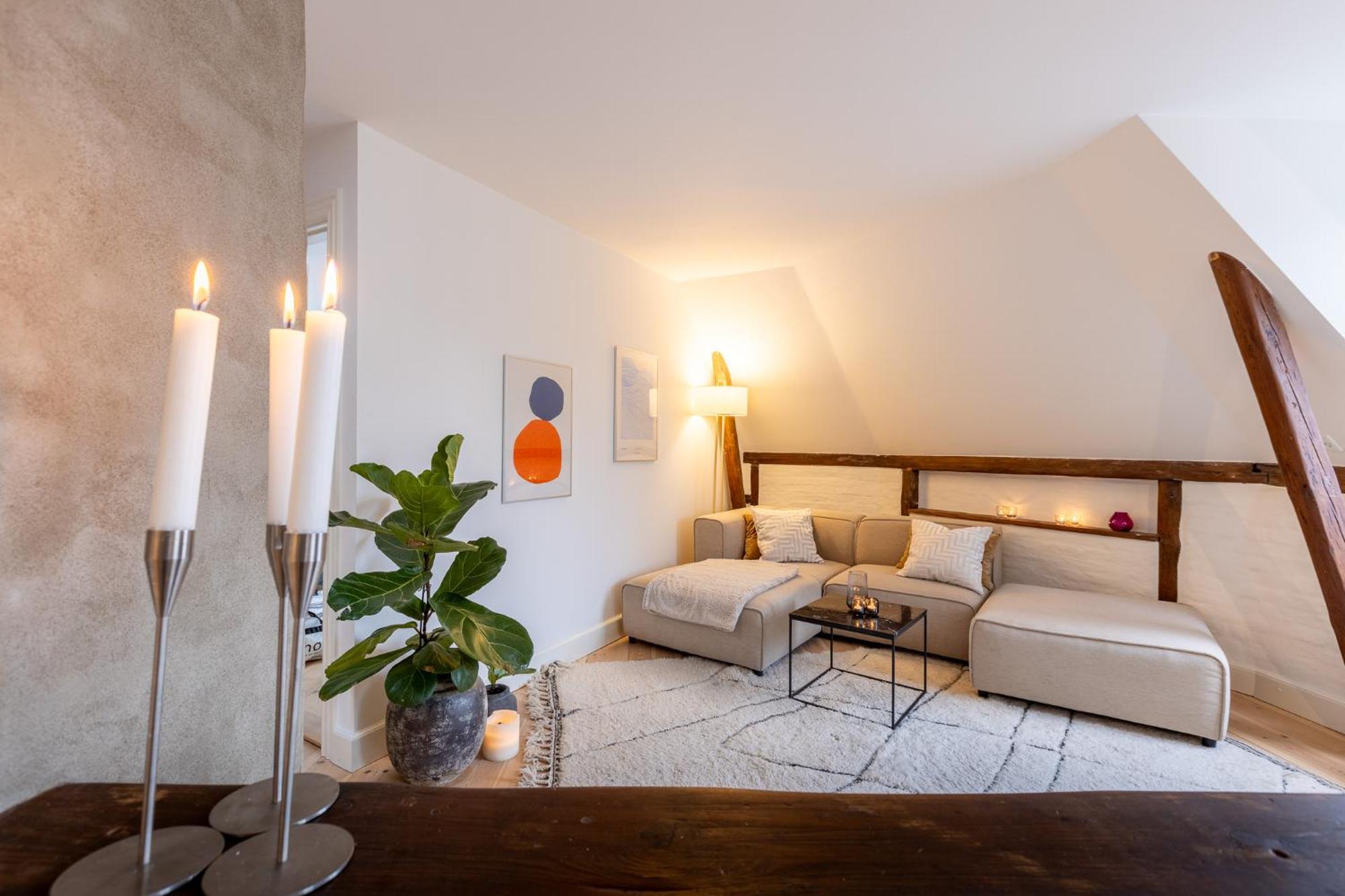 Penthouse In The Heart Of Apartment Kopenhagen